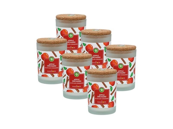 6x Air Wick geurkaars appel kaneel