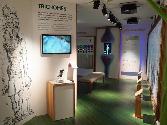 Entreebewijs voor het Cannabis Museum Amsterdam