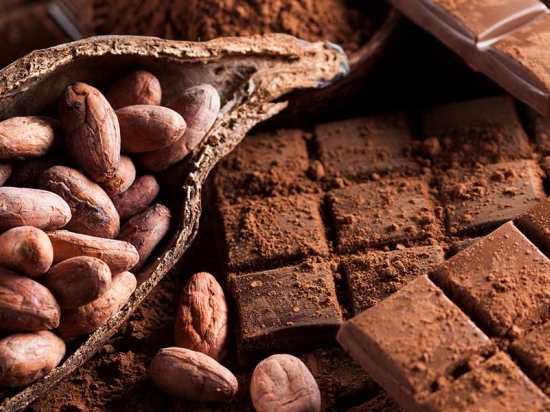 Cacaomuseum mét rondleiding en proeverij