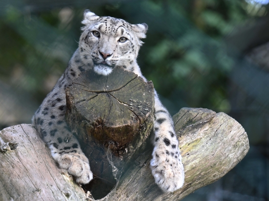 Der Grüne Zoo | Dierentuin nabij Düsseldorf